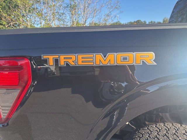 New 2025 Ford F150 Tremor image 19