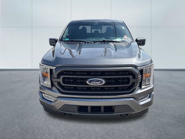 Used 2023 Ford F150 XLT w/ Equipment Group 302A High AWD/4WD image 6