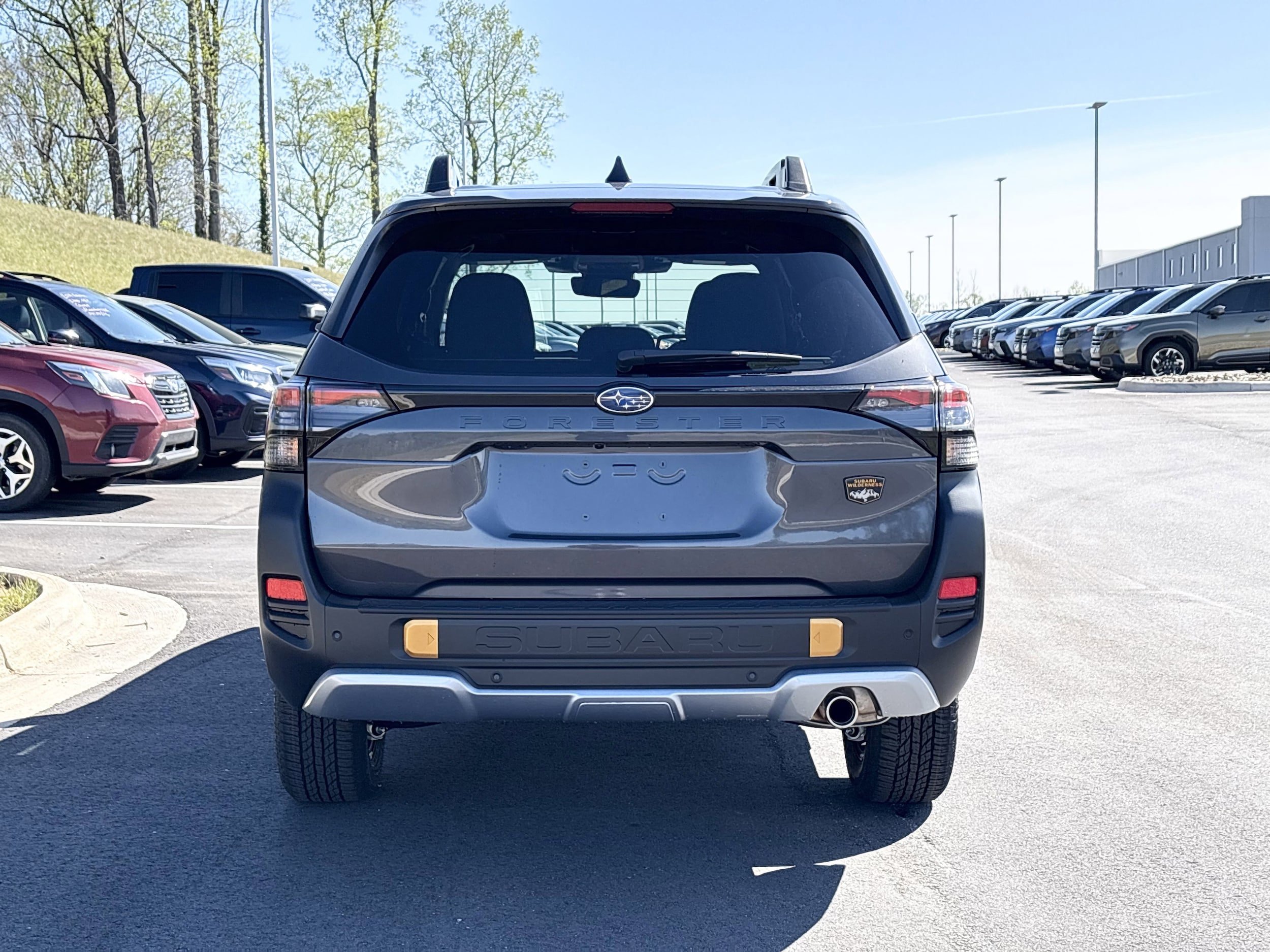 New 2026 Subaru Forester Wilderness image 10