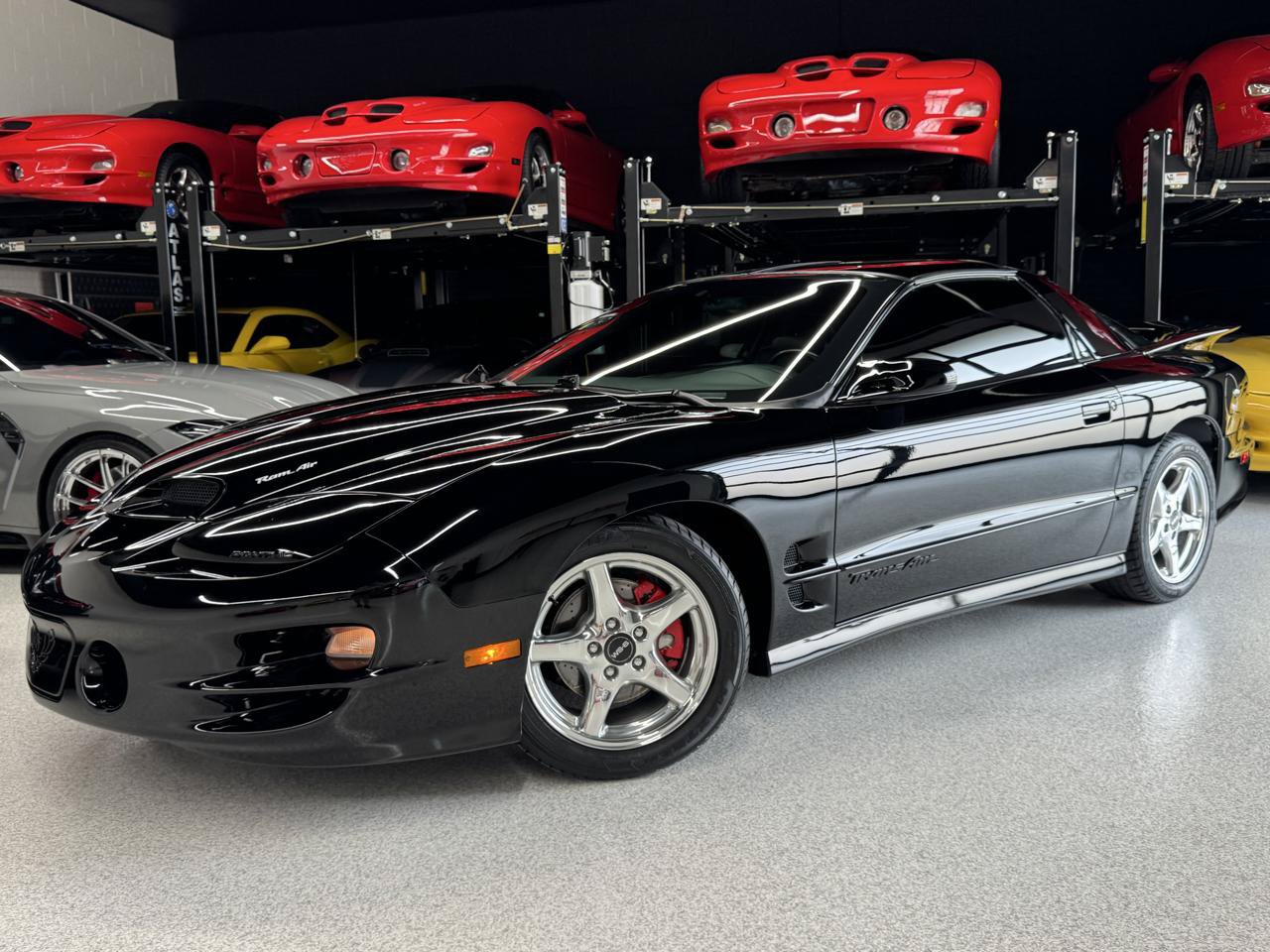 Used 2001 Pontiac Firebird Trans Am w/ SLP Firehawk Pkg RWD image 3