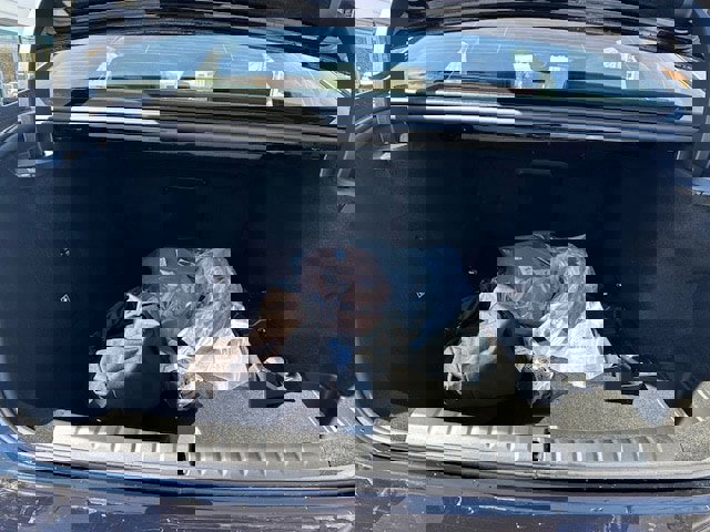 Certified 2024 BMW i7 xDrive60 image 7