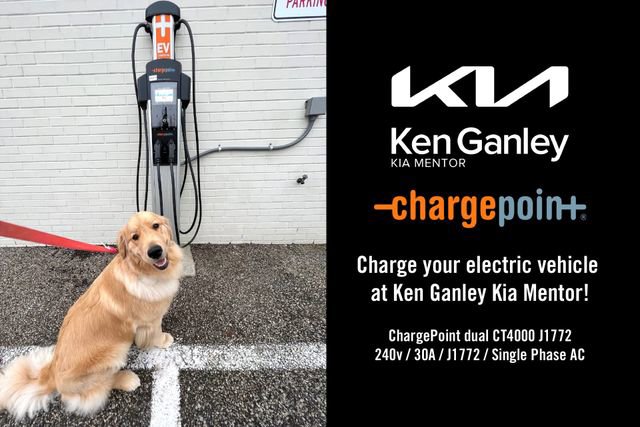 Certified 2024 Kia K5 GT-Line w/ GT-Line Premium Package image 13