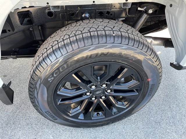 New 2026 Ford F150 XLT w/ Equipment Group 302A MID image 18