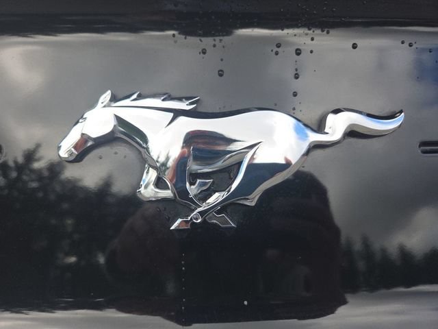 Used 2022 Ford Mustang Premium RWD image 25