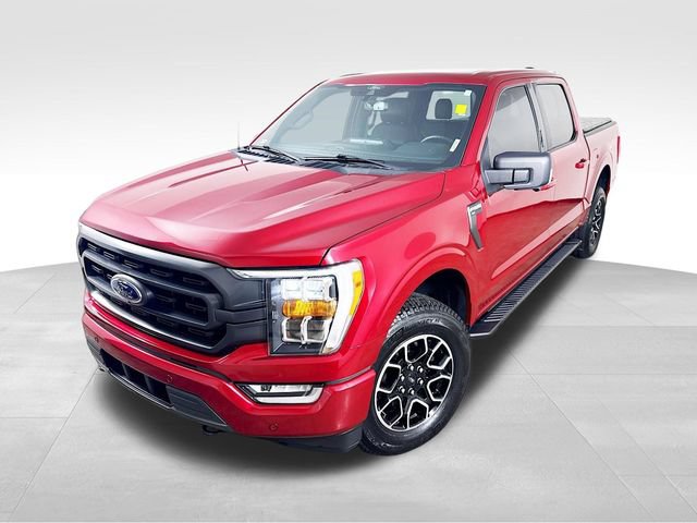 Used 2021 Ford F150 XLT w/ Equipment Group 302A High AWD/4WD image 1