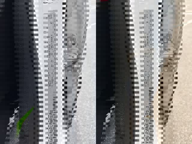 Used 2021 RAM 1500 Rebel w/ Rebel Level 2 Equipment Group image 22