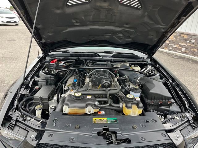 Used 2008 Ford Mustang Shelby GT500 image 22