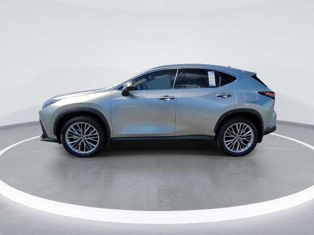 Used 2025 Lexus NX 350h 350h Premium w/ Cold Area Package image 5