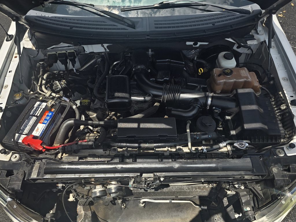 Used 2010 Ford F150 XLT RWD image 9