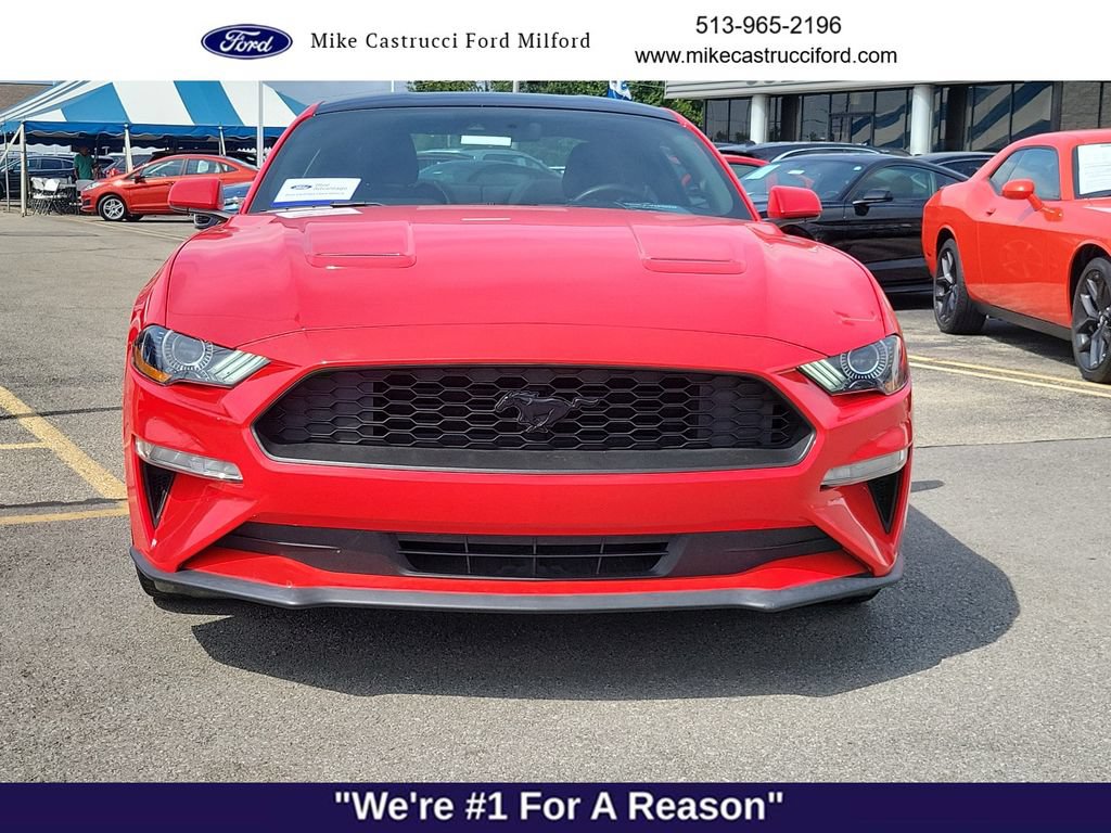 Certified 2019 Ford Mustang Coupe RWD image 8
