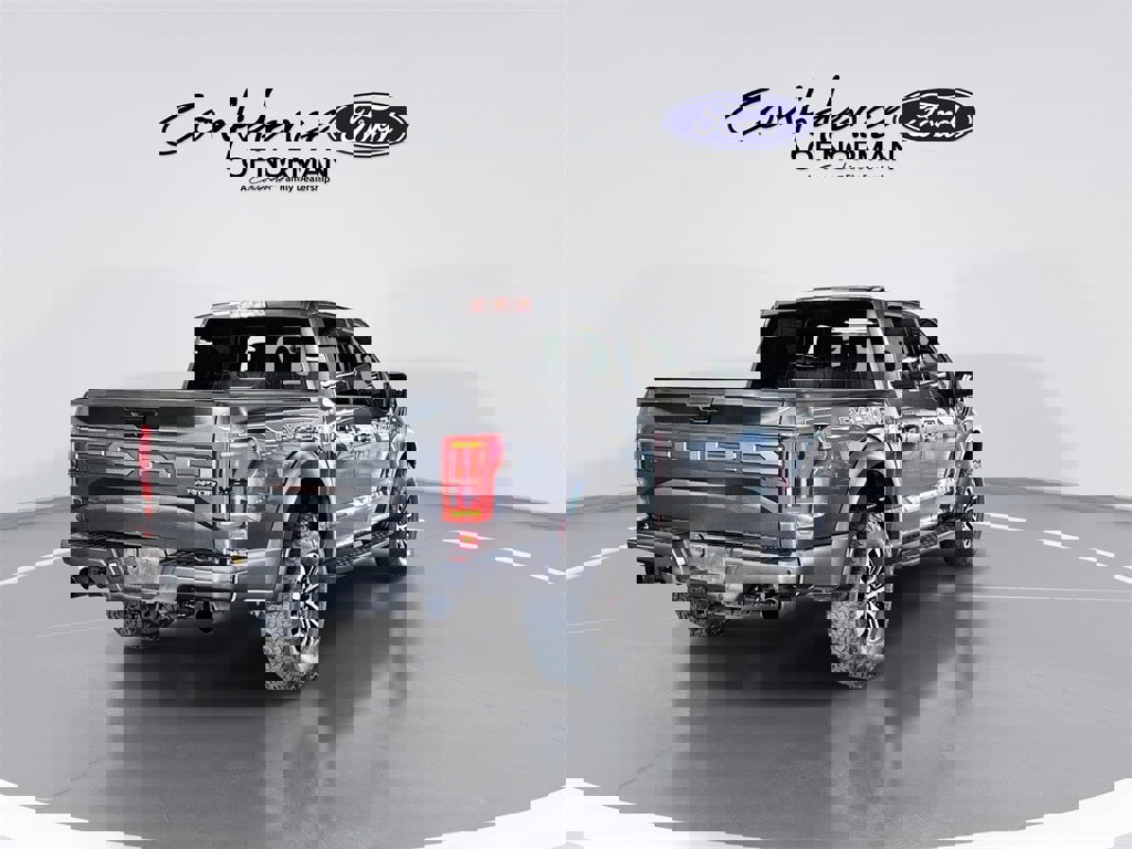 Used 2019 Ford F150 Raptor w/ Equipment Group 802A Luxury image 8