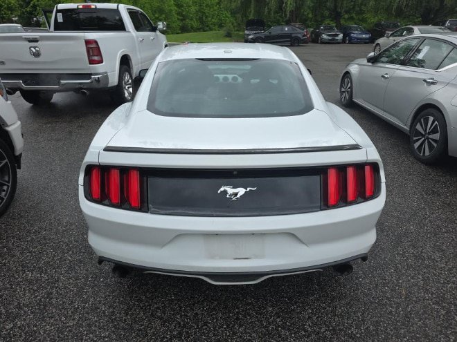 Used 2016 Ford Mustang Premium w/ Equipment Group 201A RWD image 5