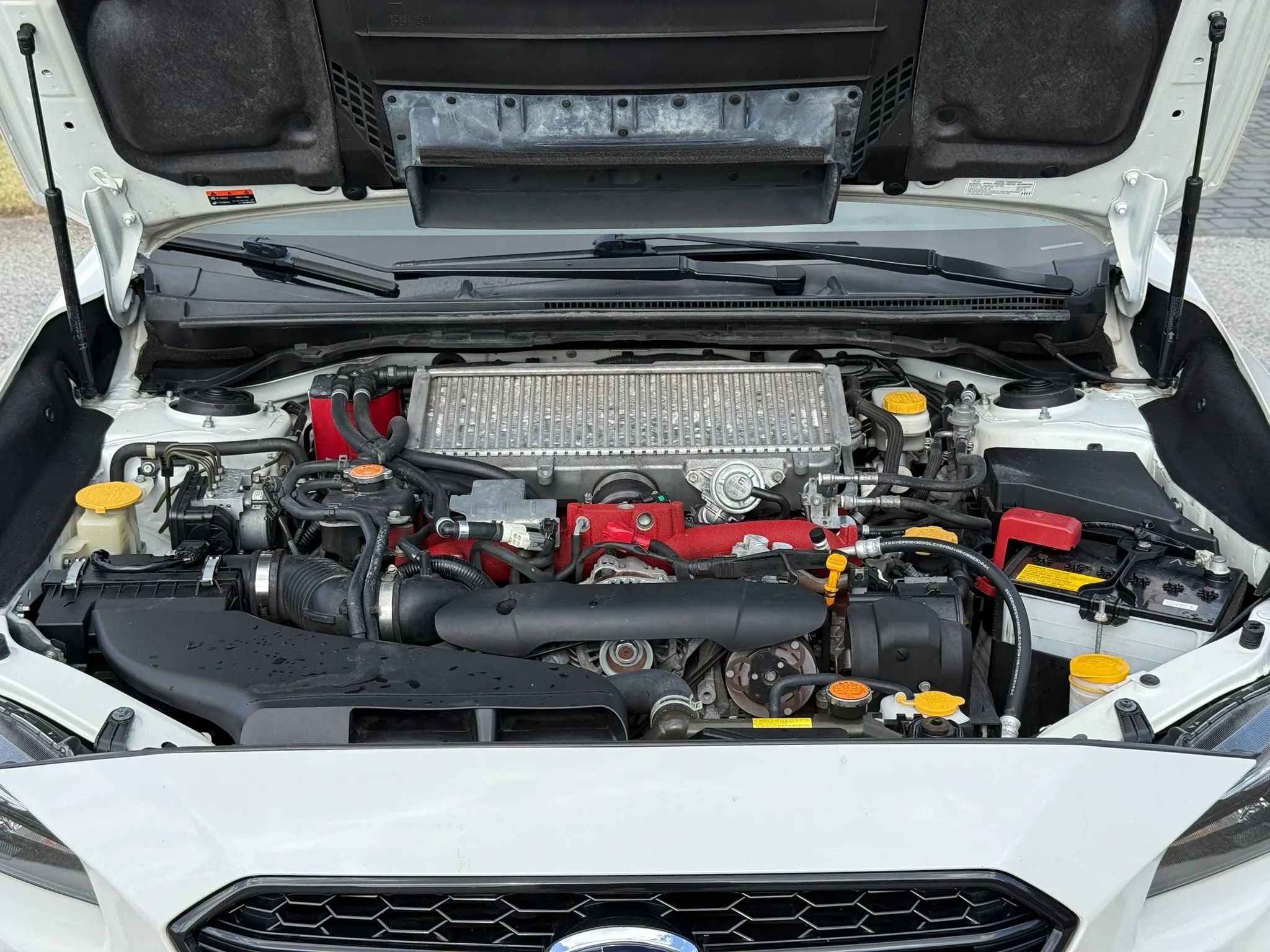 Used 2021 Subaru WRX STI AWD/4WD image 14