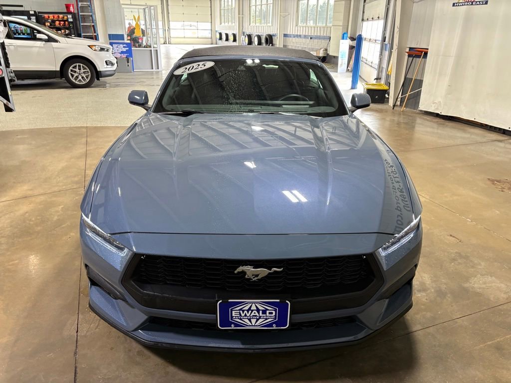 Certified 2025 Ford Mustang Premium image 3