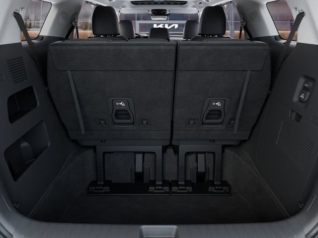 New 2026 Kia Carnival SX Prestige image 19
