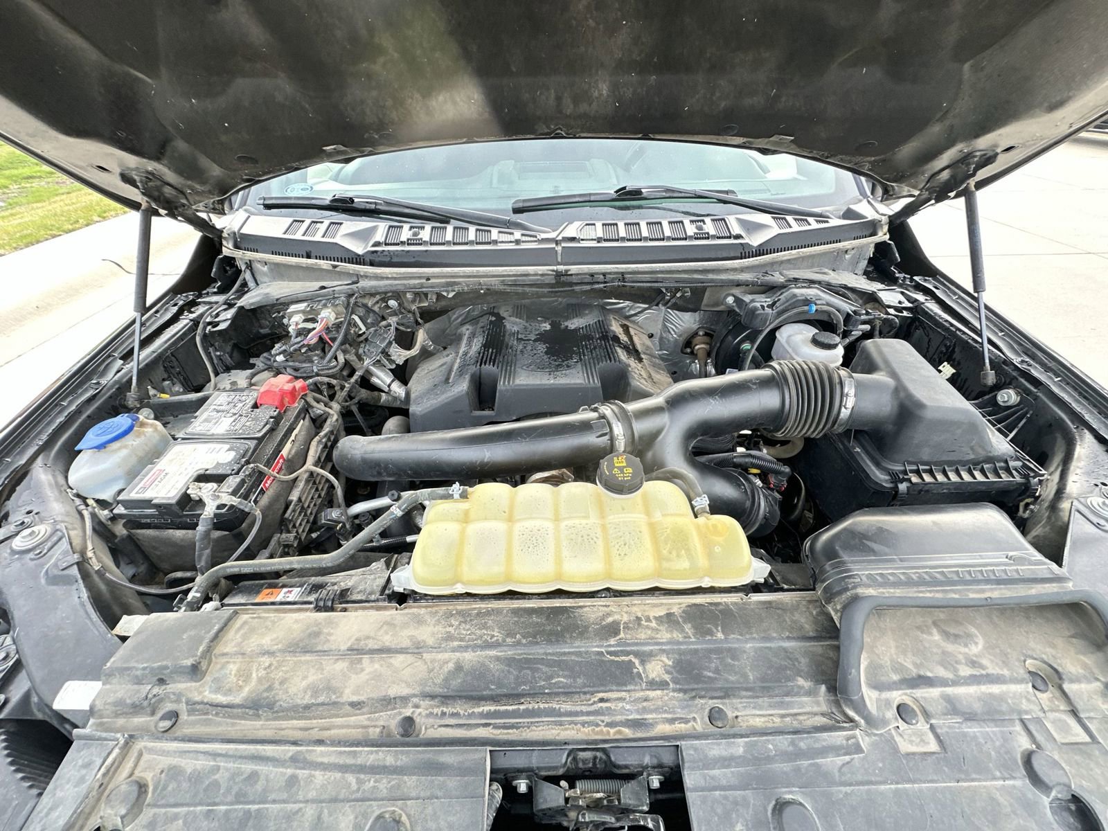 Used 2019 Ford F150 XLT w/ Equipment Group 302A Luxury AWD/4WD image 29
