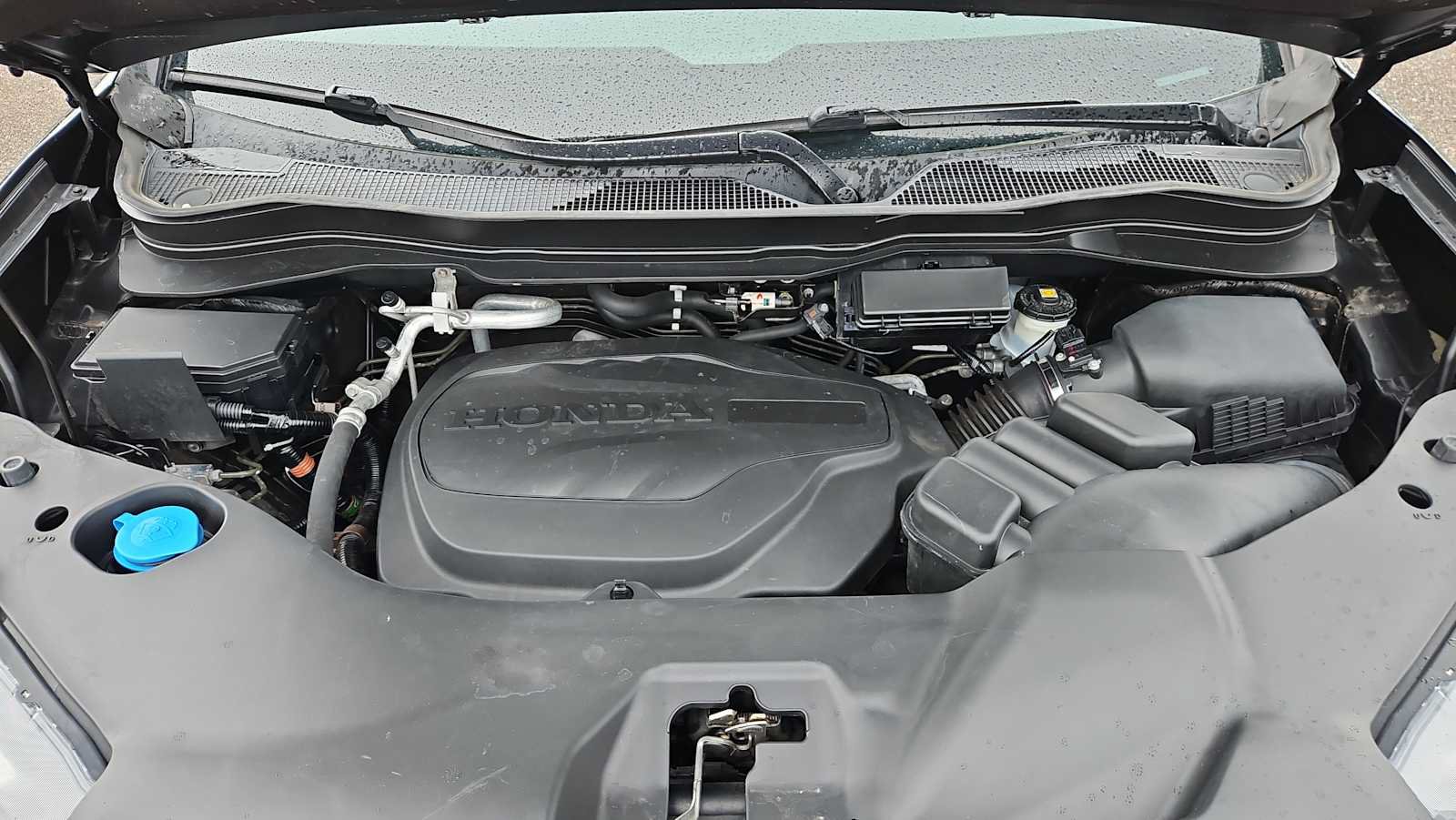 Used 2023 Honda Passport TrailSport image 18
