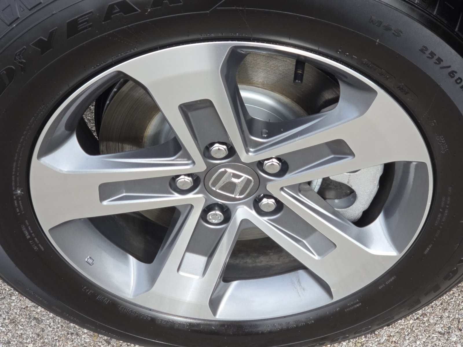 Used 2025 Honda Pilot EX-L image 13