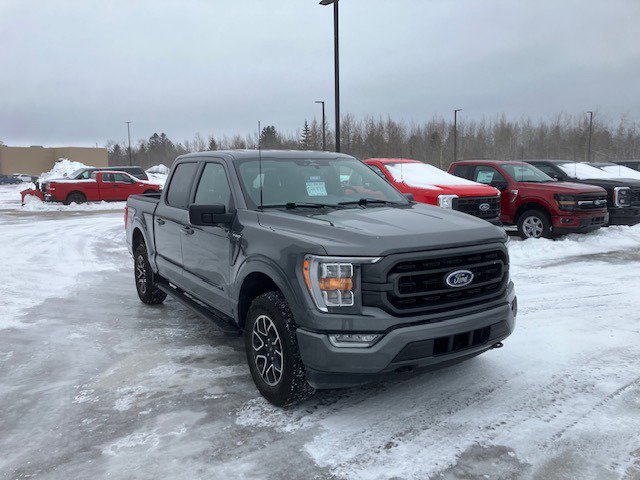 Used 2023 Ford F150 XLT w/ Equipment Group 302A High image 3