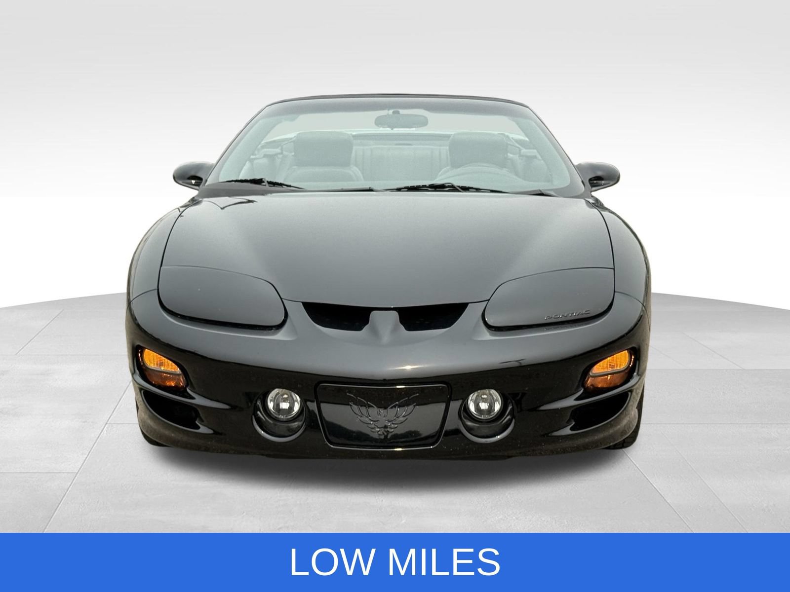 Used 2002 Pontiac Firebird Trans Am RWD image 12