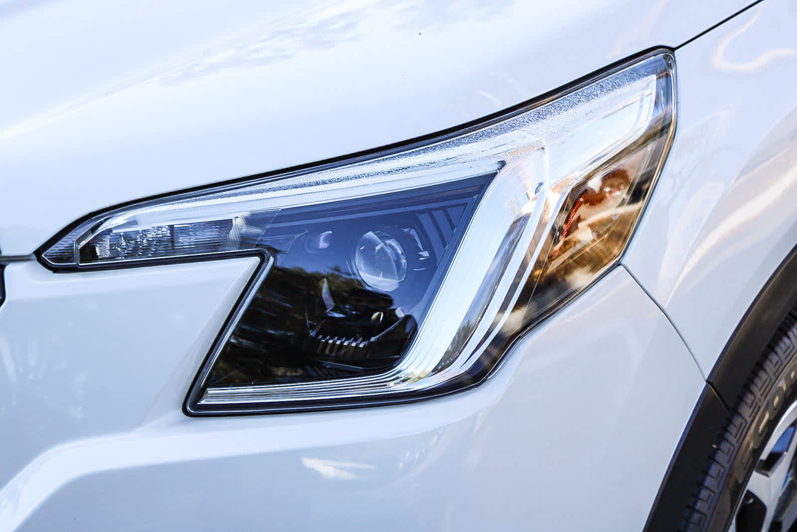 Certified 2023 Subaru Forester Premium image 8