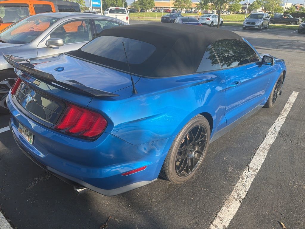 Used 2019 Ford Mustang Premium w/ Equipment Group 201A RWD image 4