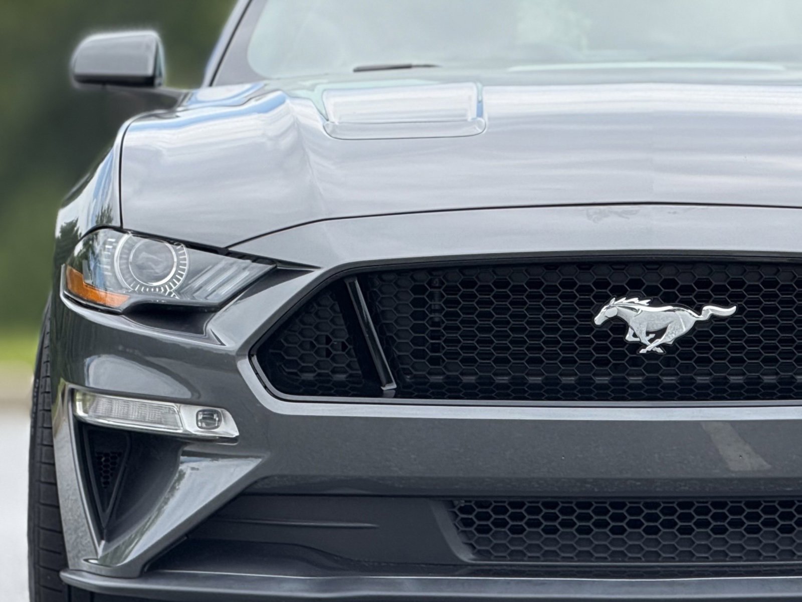 Used 2019 Ford Mustang GT image 13