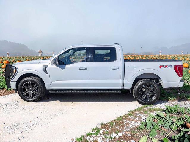 Certified 2021 Ford F150 XLT w/ Equipment Group 302A High AWD/4WD image 3