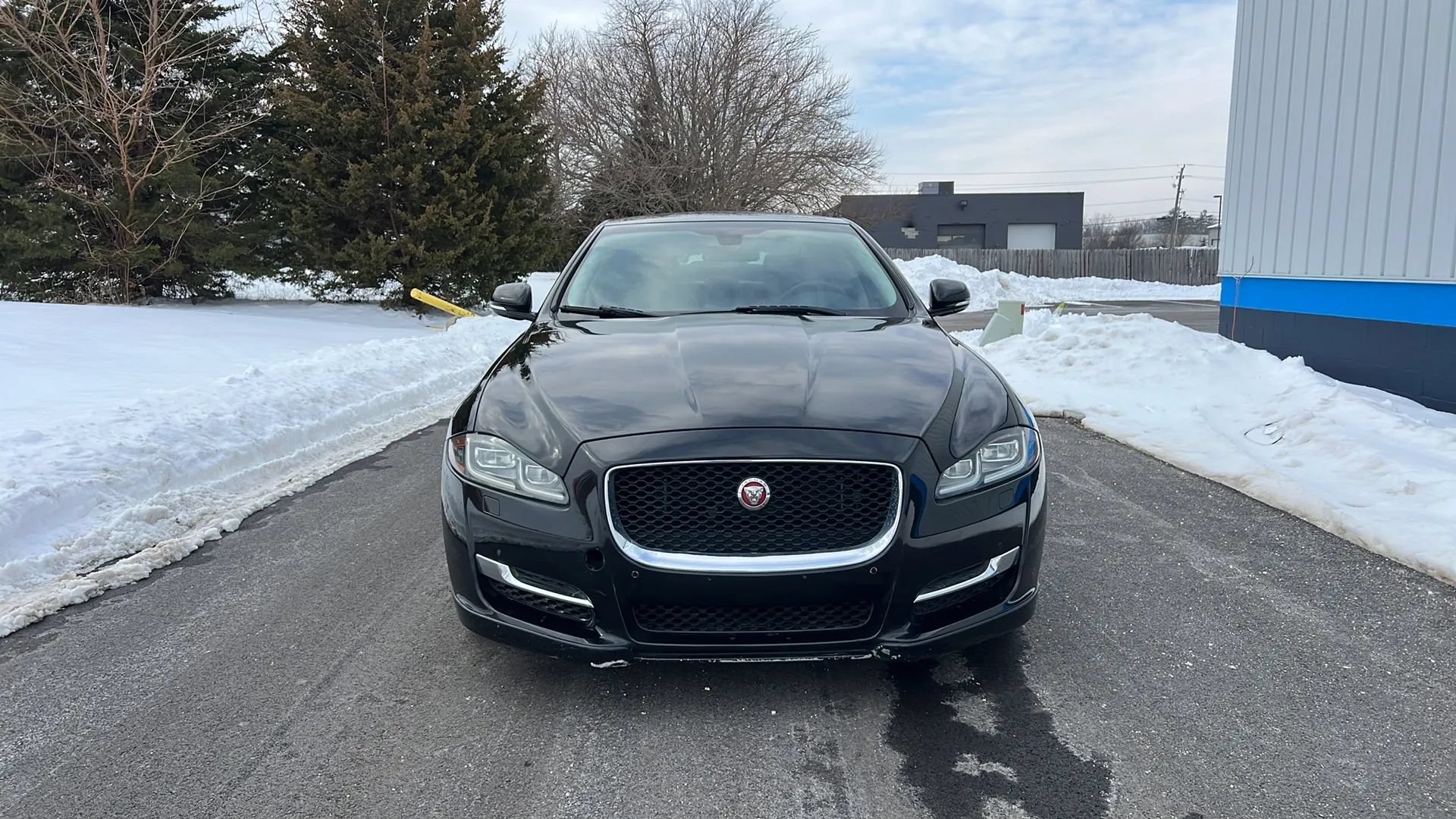 Used 2016 Jaguar XJ Supercharged RWD image 2