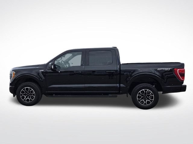 Certified 2023 Ford F150 XLT w/ Equipment Group 302A High AWD/4WD image 6