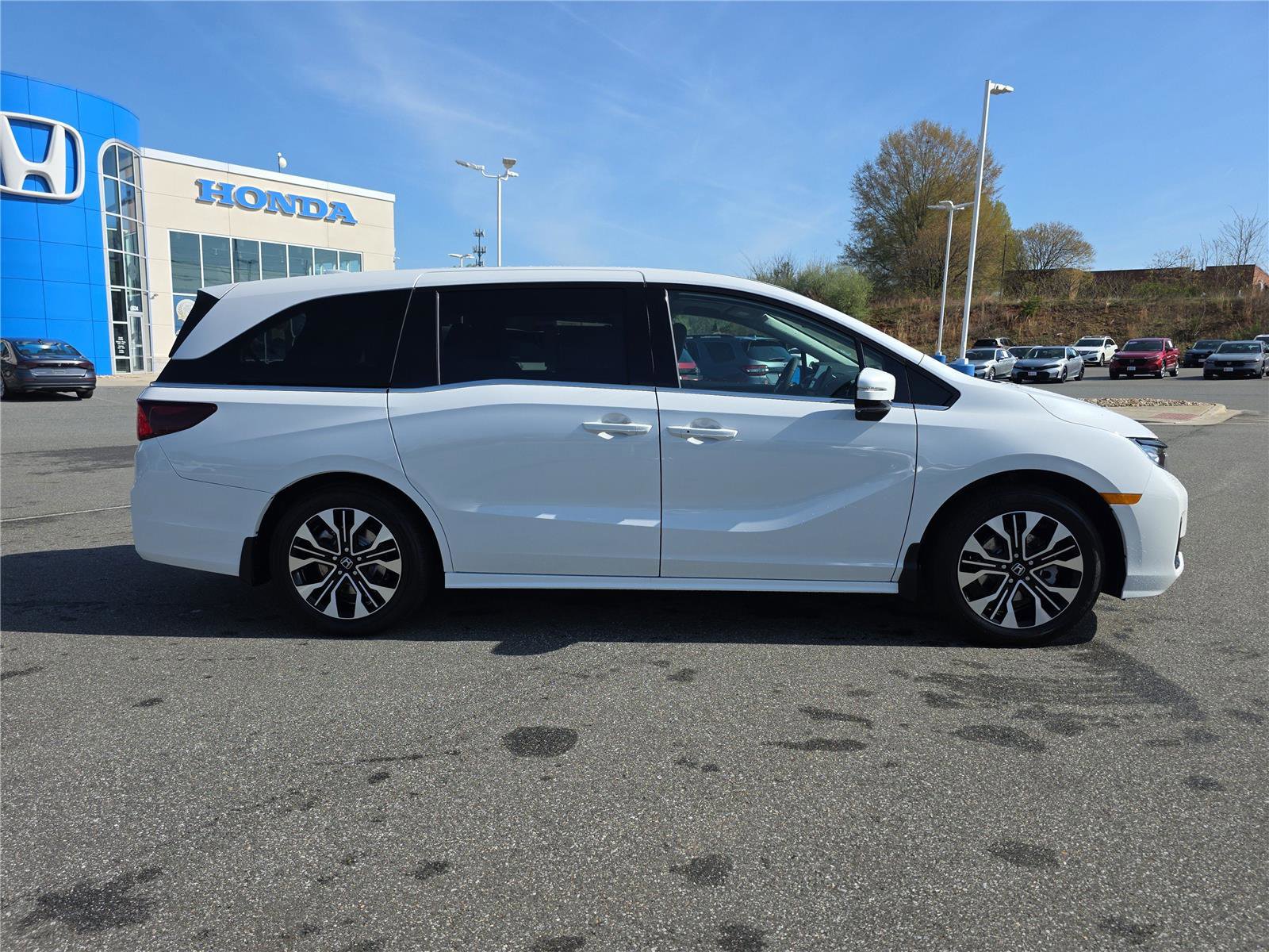 New 2026 Honda Odyssey Elite image 7