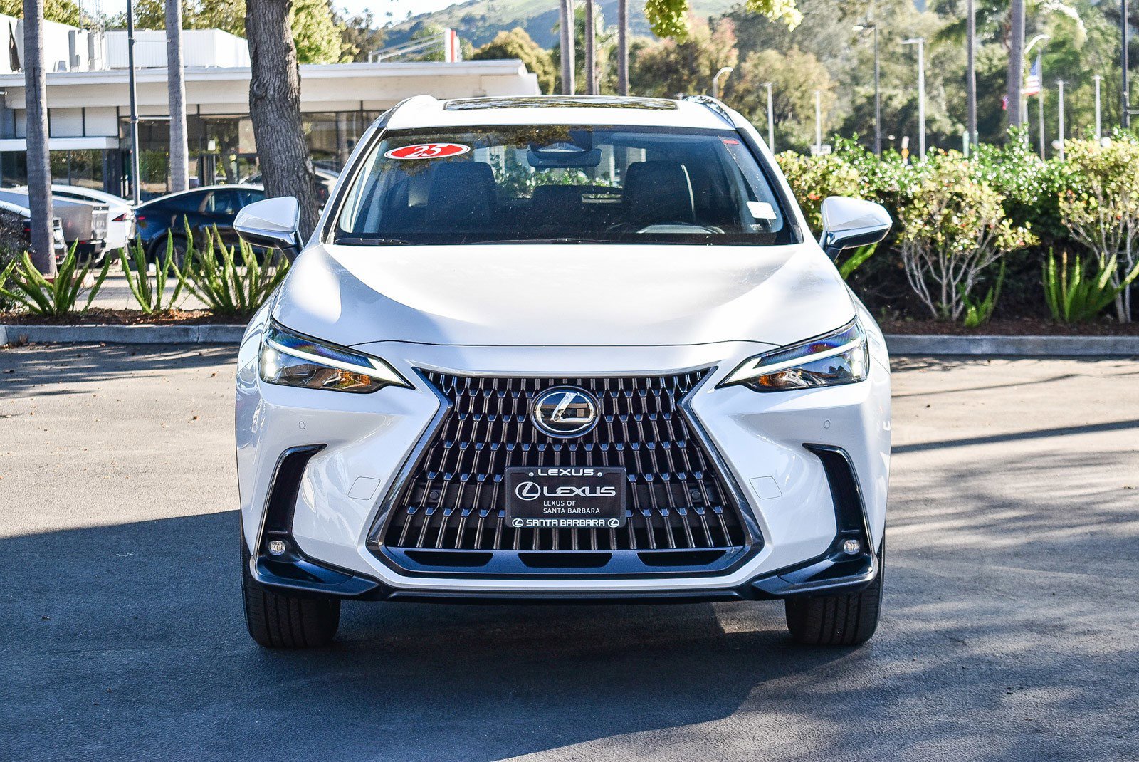 Used 2025 Lexus NX 350 AWD w/ Cold Area Package image 2