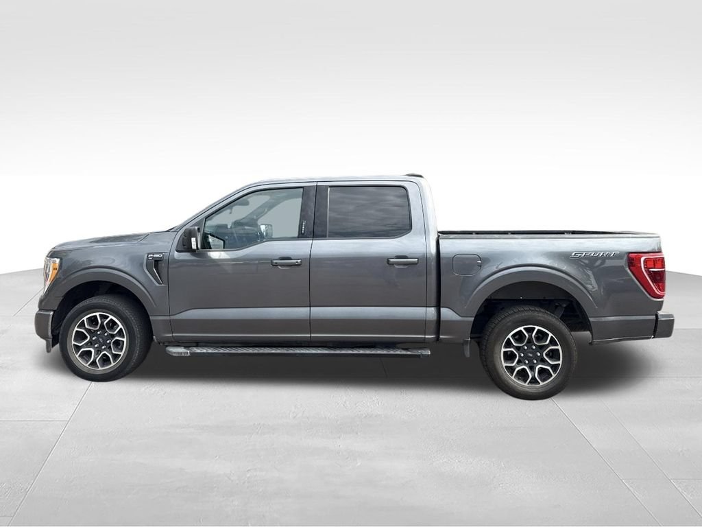 Used 2025 Ford F150 STX RWD image 6