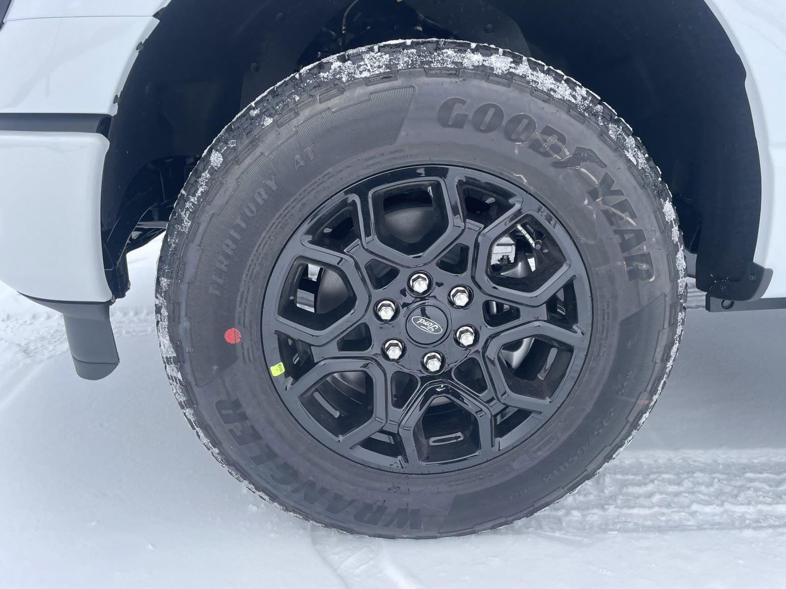 New 2026 Ford F150 XLT w/ Equipment Group 302A MID image 32