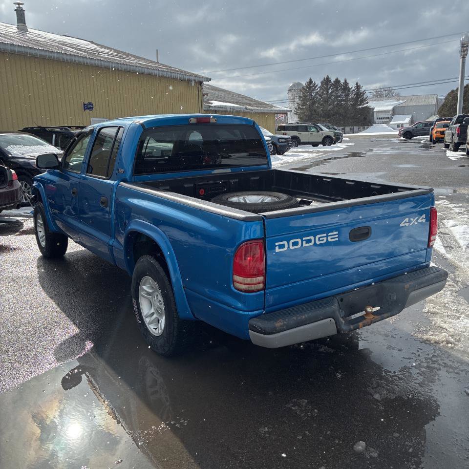 Used 2001 Dodge Dakota Sport image 10
