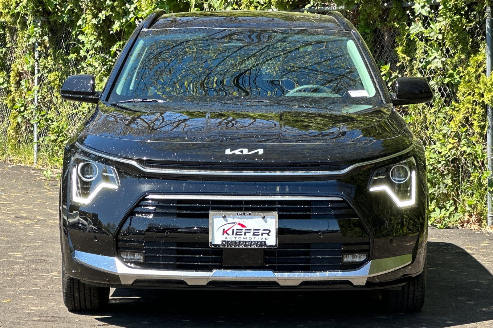 New 2025 Kia Niro SX image 5