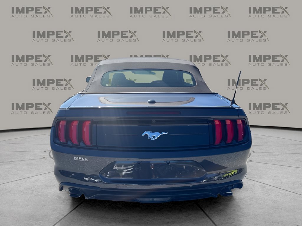 Used 2022 Ford Mustang Premium w/ Equipment Group 201A RWD image 5
