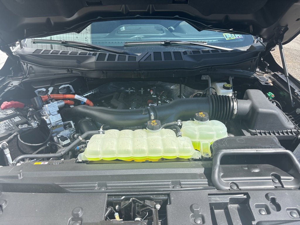 New 2025 Ford F150 XLT w/ Equipment Group 302A MID image 9