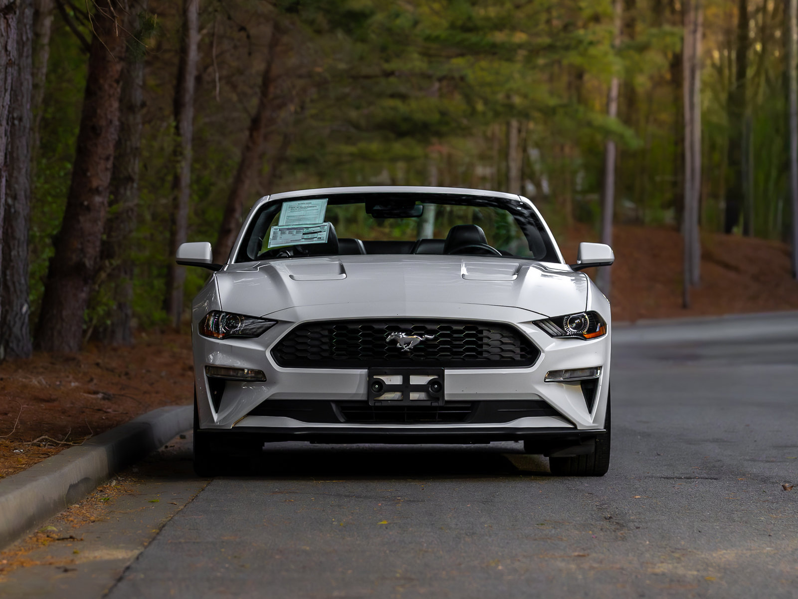 Used 2022 Ford Mustang Premium image 35
