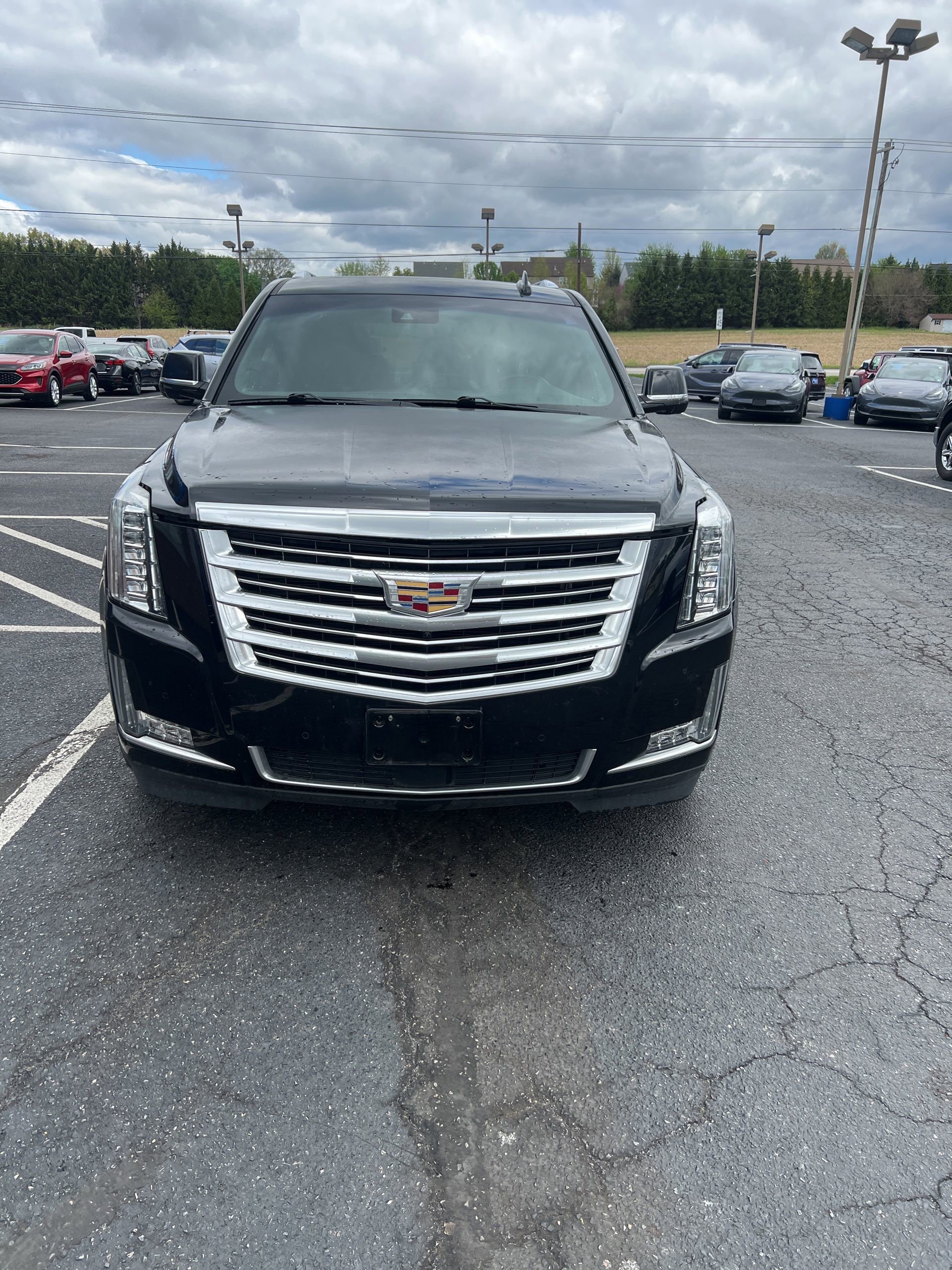 Used 2017 Cadillac Escalade Platinum AWD/4WD image 9
