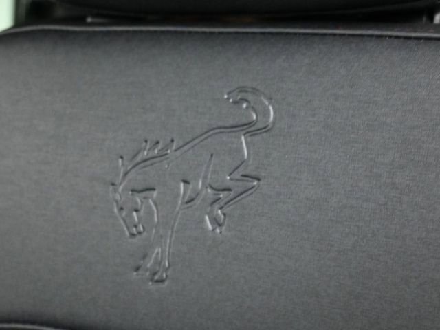 New 2025 Ford Bronco Stroppe Edition image 15
