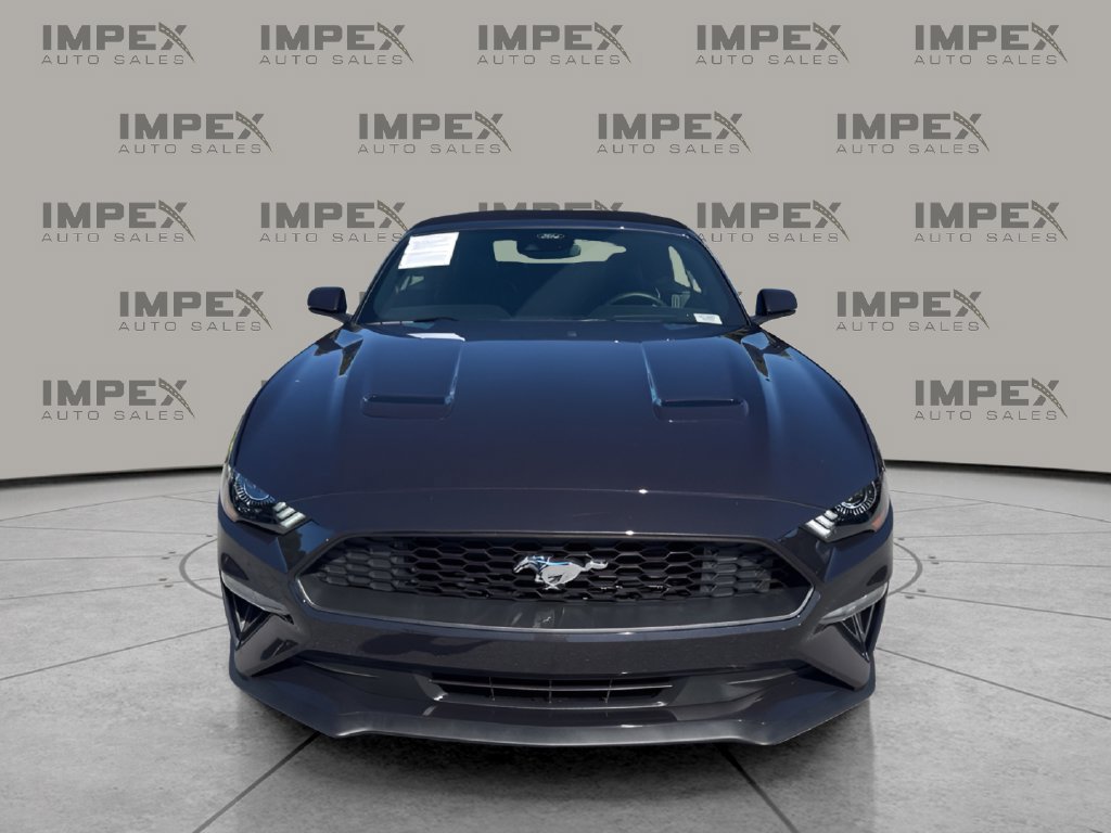 Used 2022 Ford Mustang Premium w/ Equipment Group 201A RWD image 9