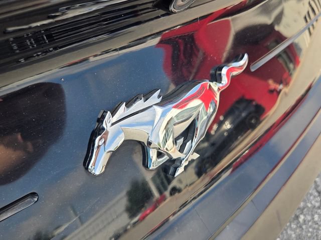 Used 2019 Ford Mustang Premium RWD image 13