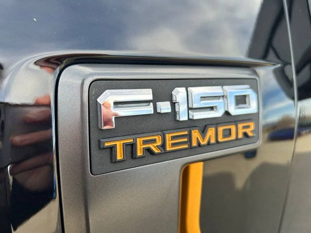 Used 2025 Ford F150 Tremor w/ Tow/Haul Package image 9