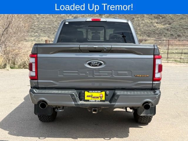 Used 2023 Ford F150 Tremor w/ Equipment Group 402A High AWD/4WD image 4