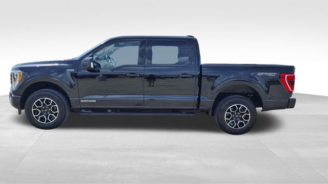 Used 2023 Ford F150 XLT w/ Equipment Group 302A High image 5