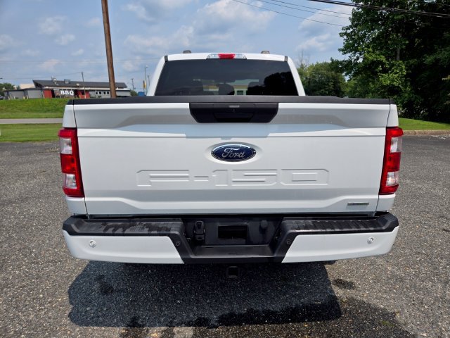 Used 2023 Ford F150 XL w/ STX Appearance Package AWD/4WD image 7