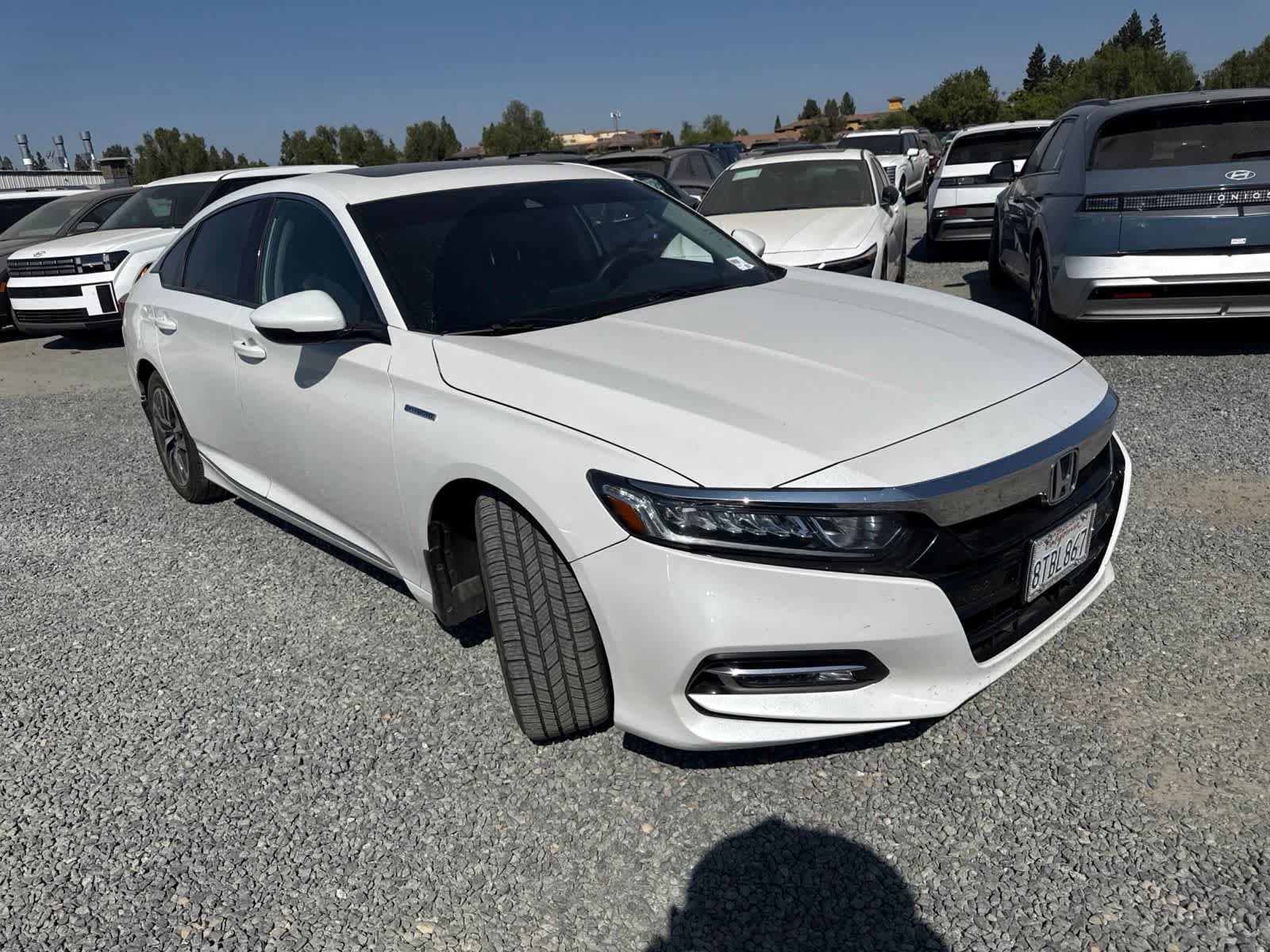 Used 2020 Honda Accord EX-L image 3