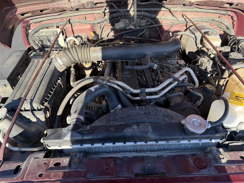 Used 2001 Jeep Wrangler Sahara AWD/4WD image 11