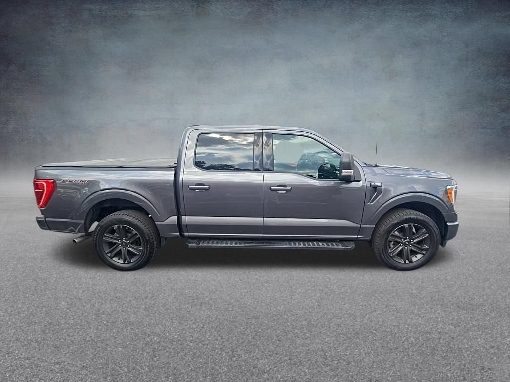 Used 2023 Ford F150 XLT w/ Equipment Group 302A High AWD/4WD image 8